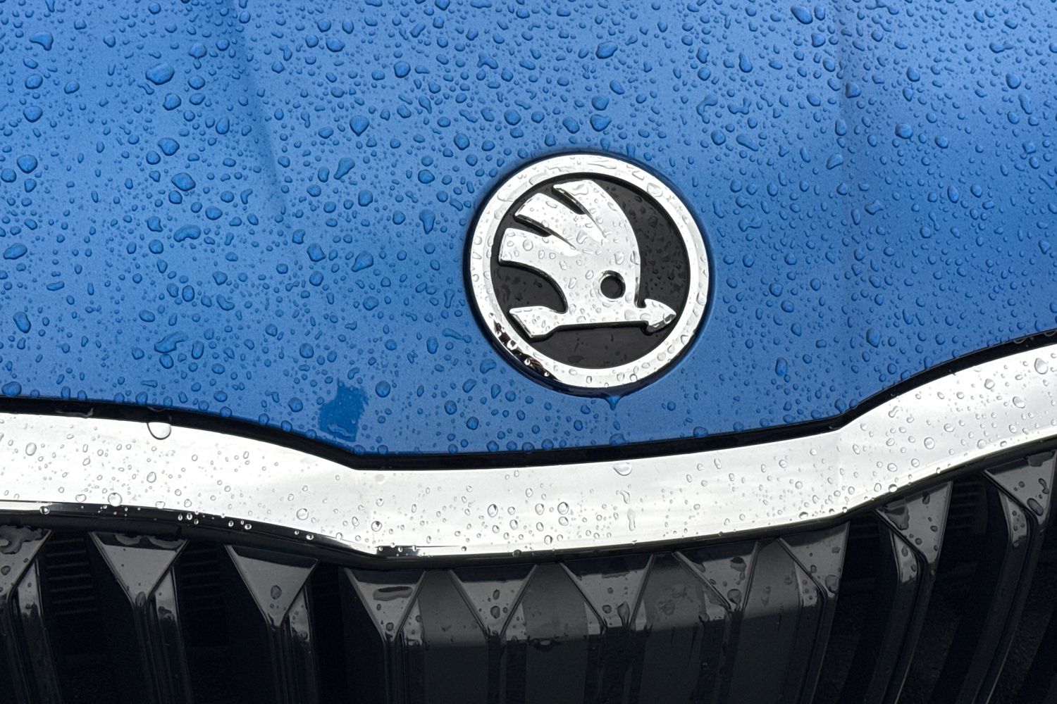 Used Skoda Octavia 2024 for sale - 76564727: Photo 26