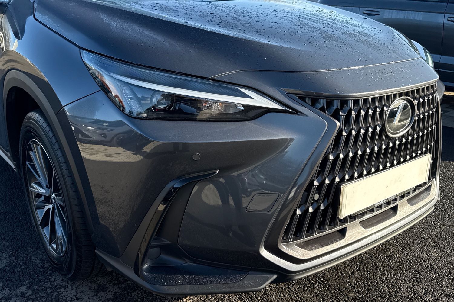 Used Lexus NX 2024 for sale - 77361761: Photo 9