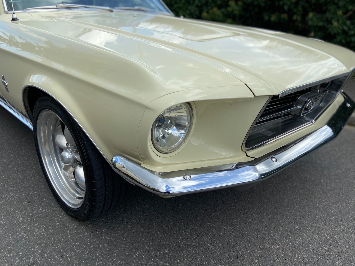 Used Ford Mustang 2005 for sale - 75919414: Photo 20