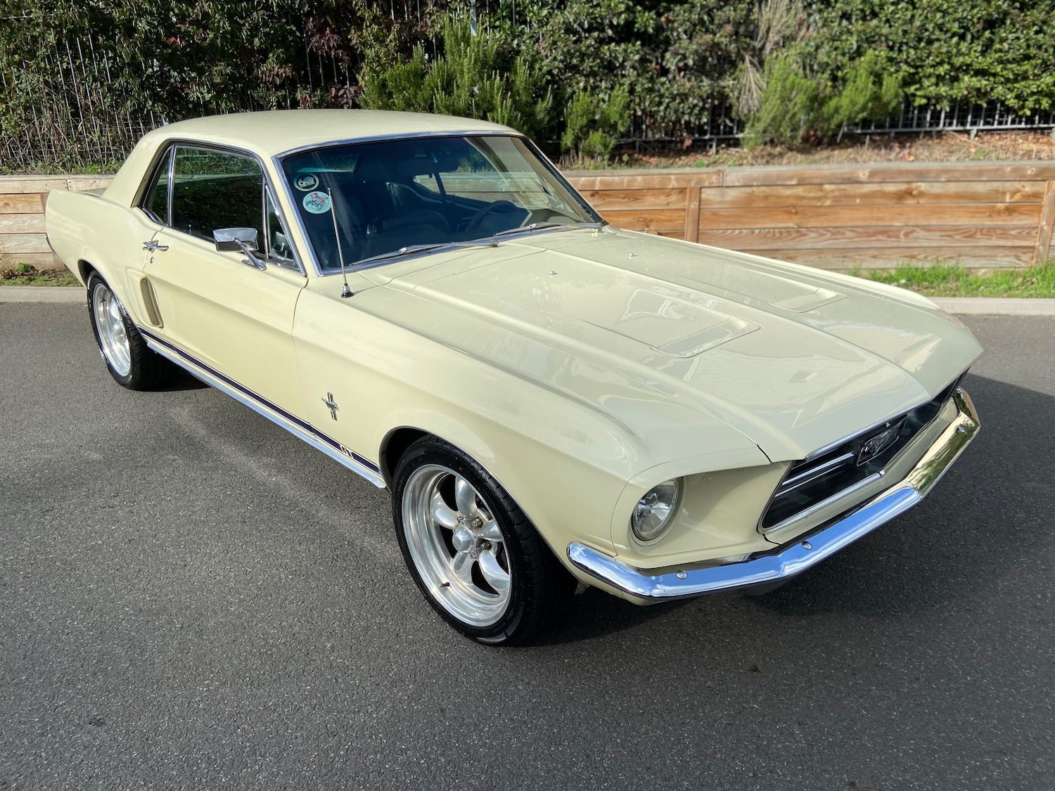 Used Ford Mustang 2005 for sale - 75919414: Photo 30