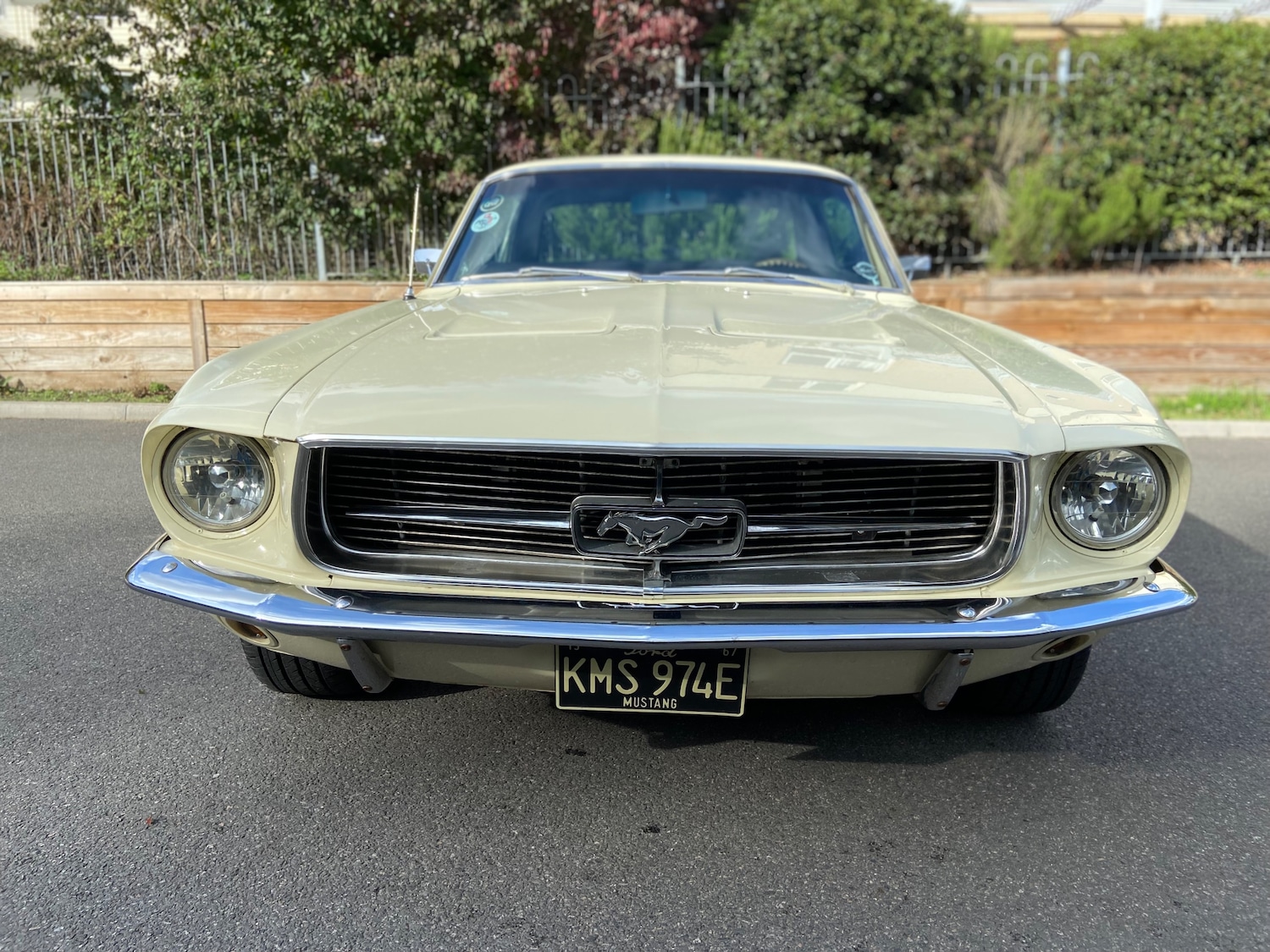 Used Ford Mustang 2005 for sale - 75919414: Photo 32