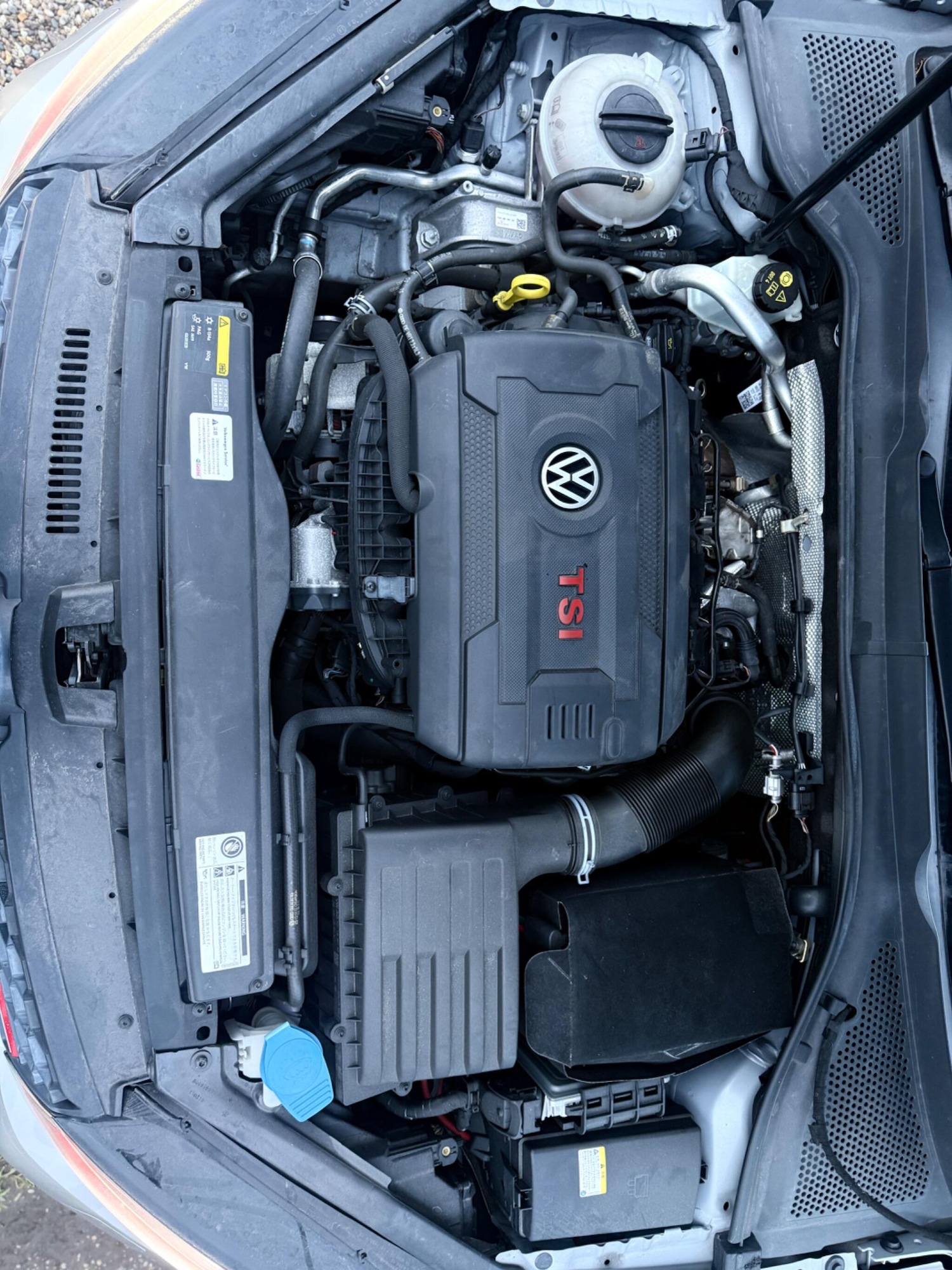 Used Volkswagen Golf 2026 for sale - 77331963: Photo 25