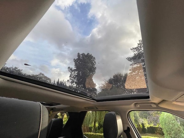 Used Land Rover Discovery 2019 for sale - 76154252: Photo 14