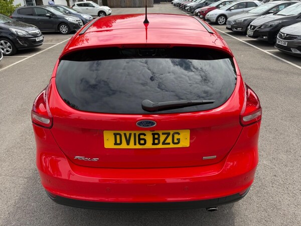 Used Ford Focus 2016 for sale - 75033414: Photo 20