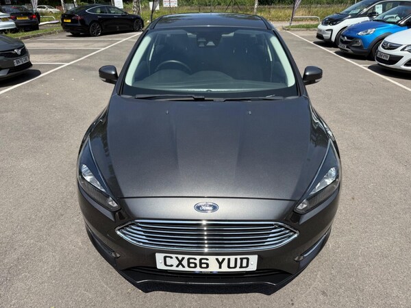 Used Ford Focus 2016 for sale - 75124486: Photo 19
