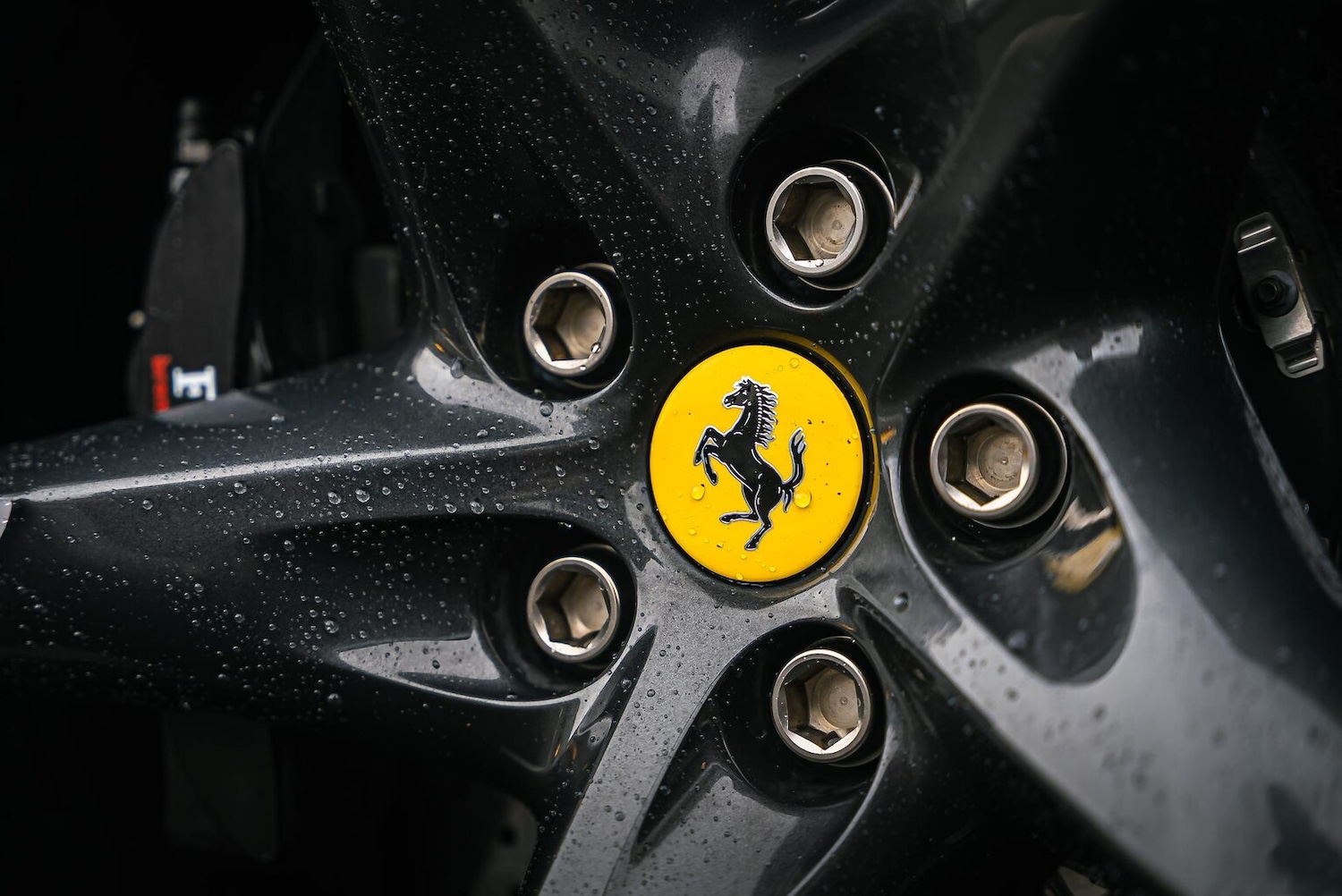 Used Ferrari Purosangue 2024 for sale - 77542441: Photo 16