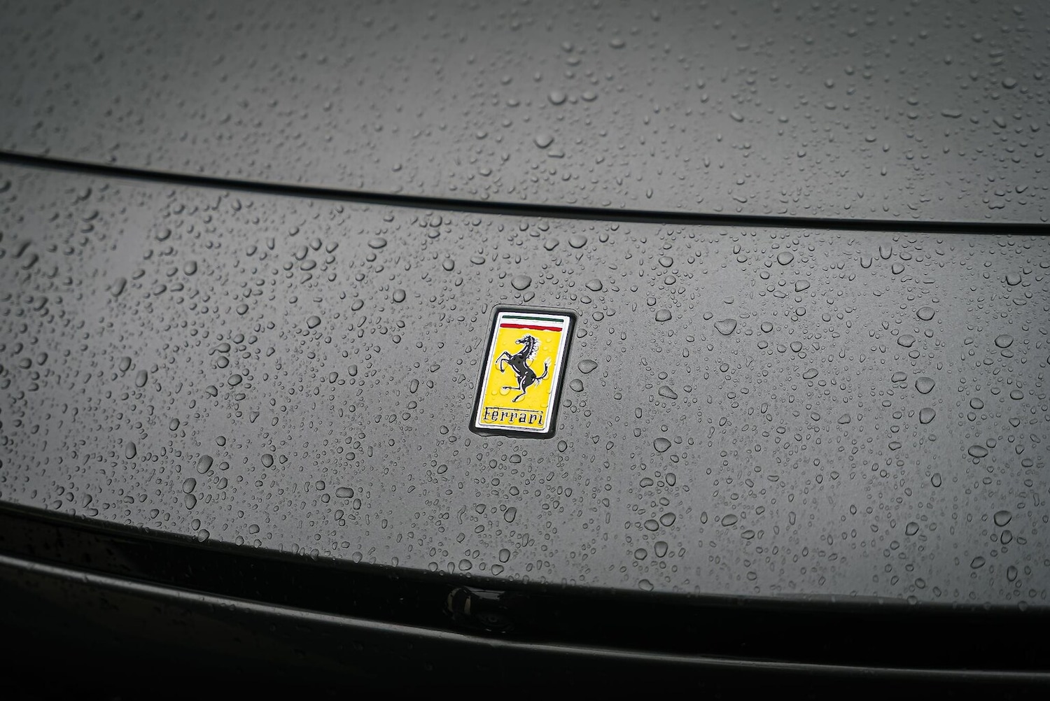 Used Ferrari Purosangue 2024 for sale - 77542441: Photo 18