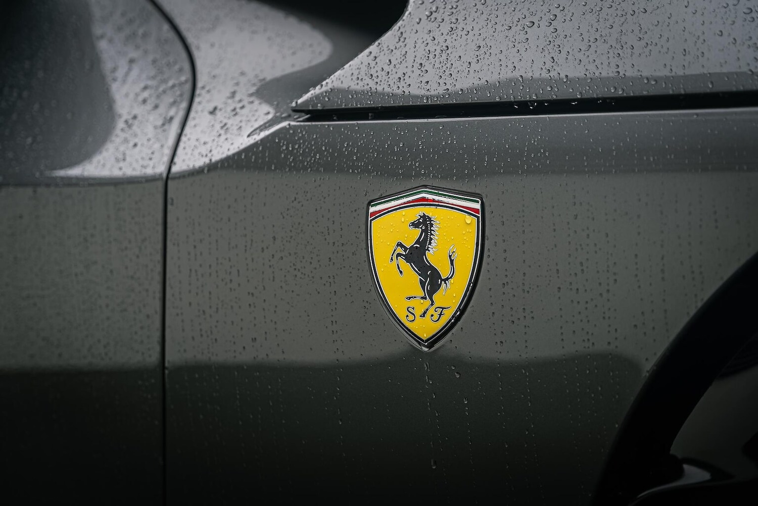 Used Ferrari Purosangue 2024 for sale - 77542441: Photo 19