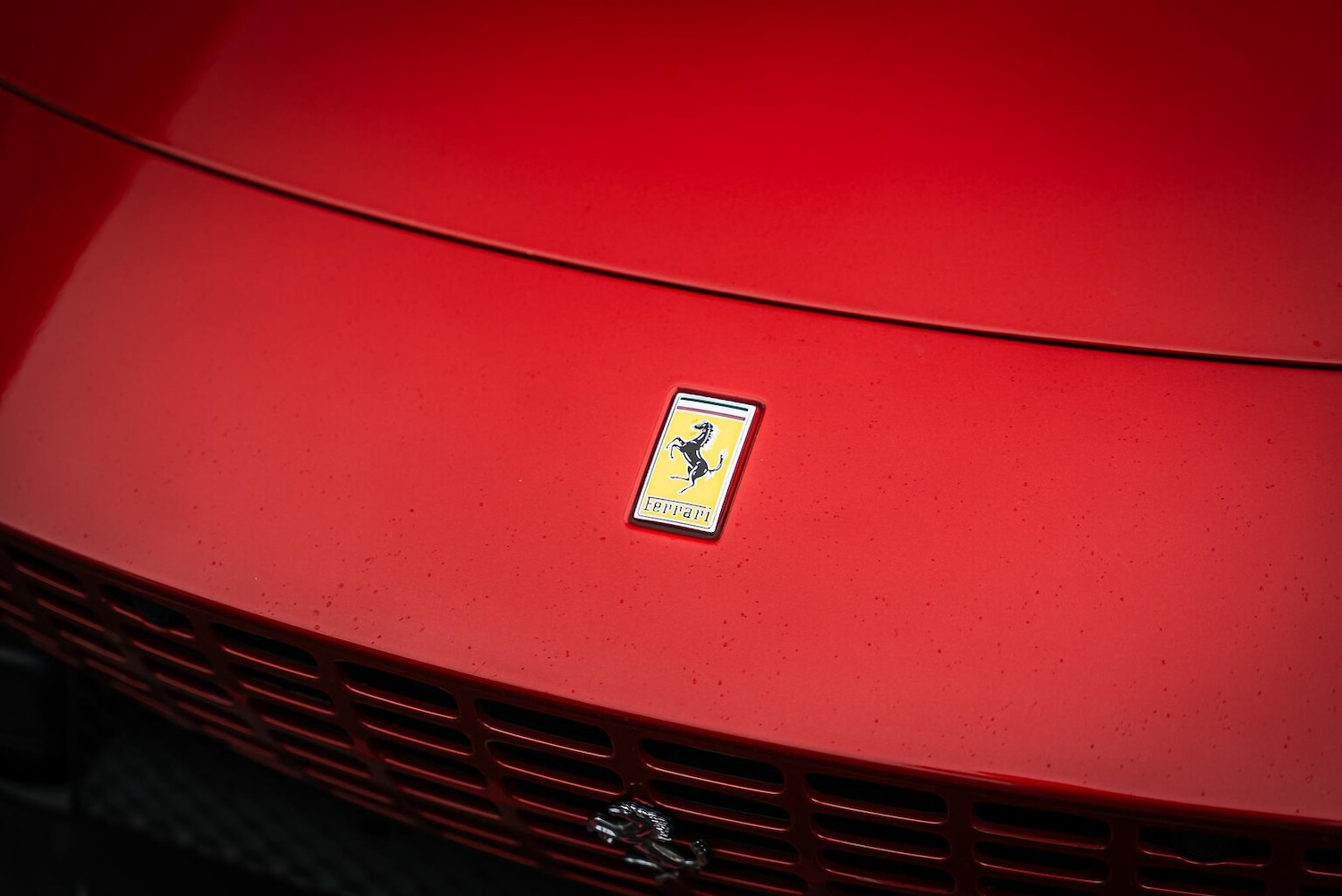 Used Ferrari Roma 2025 for sale - 77931689: Photo 15