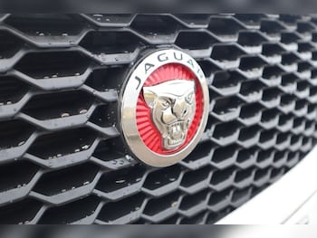 Used Jaguar E-Pace 2019 for sale - 76496582: Photo