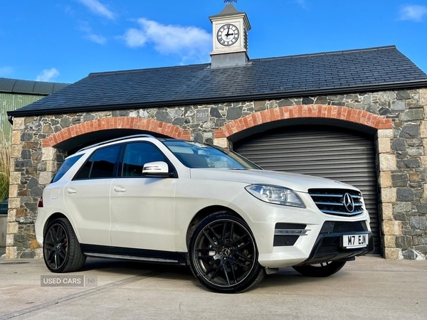 Used Mercedes-Benz M Class 2013 for sale - 76359361: Photo 4