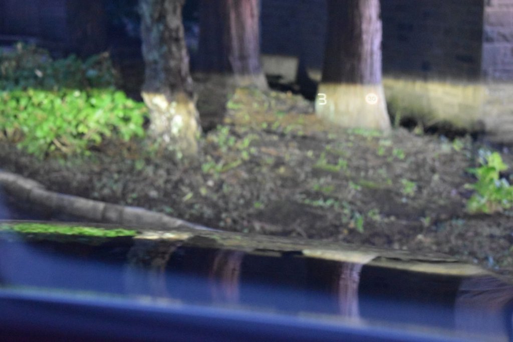 Used Volvo XC90 2025 for sale - 77302375: Photo 25