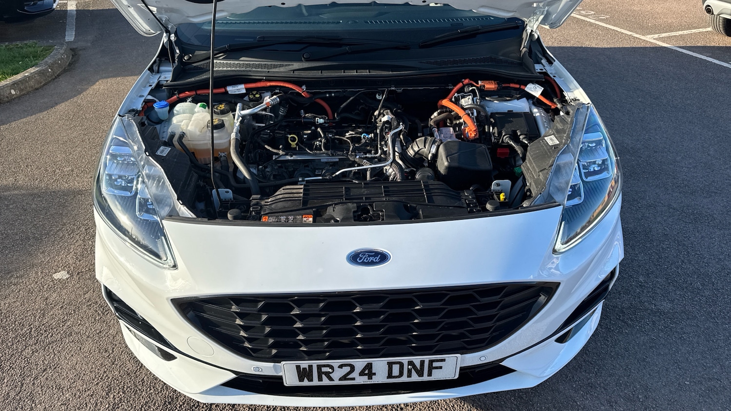 Used Ford Kuga 2024 for sale - 77730764: Photo 8