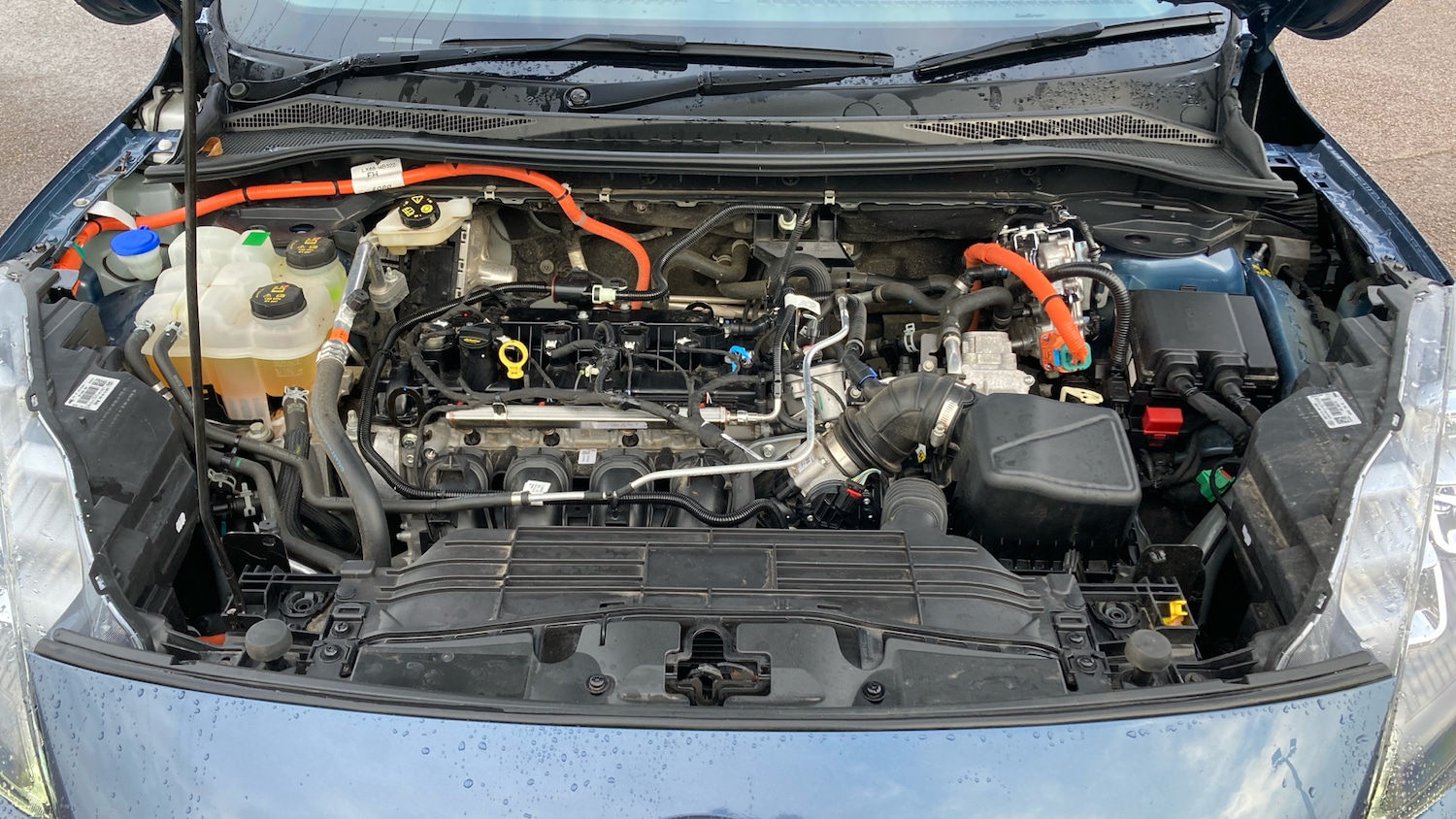 Used Ford Kuga 2024 for sale - 77148321: Photo 8