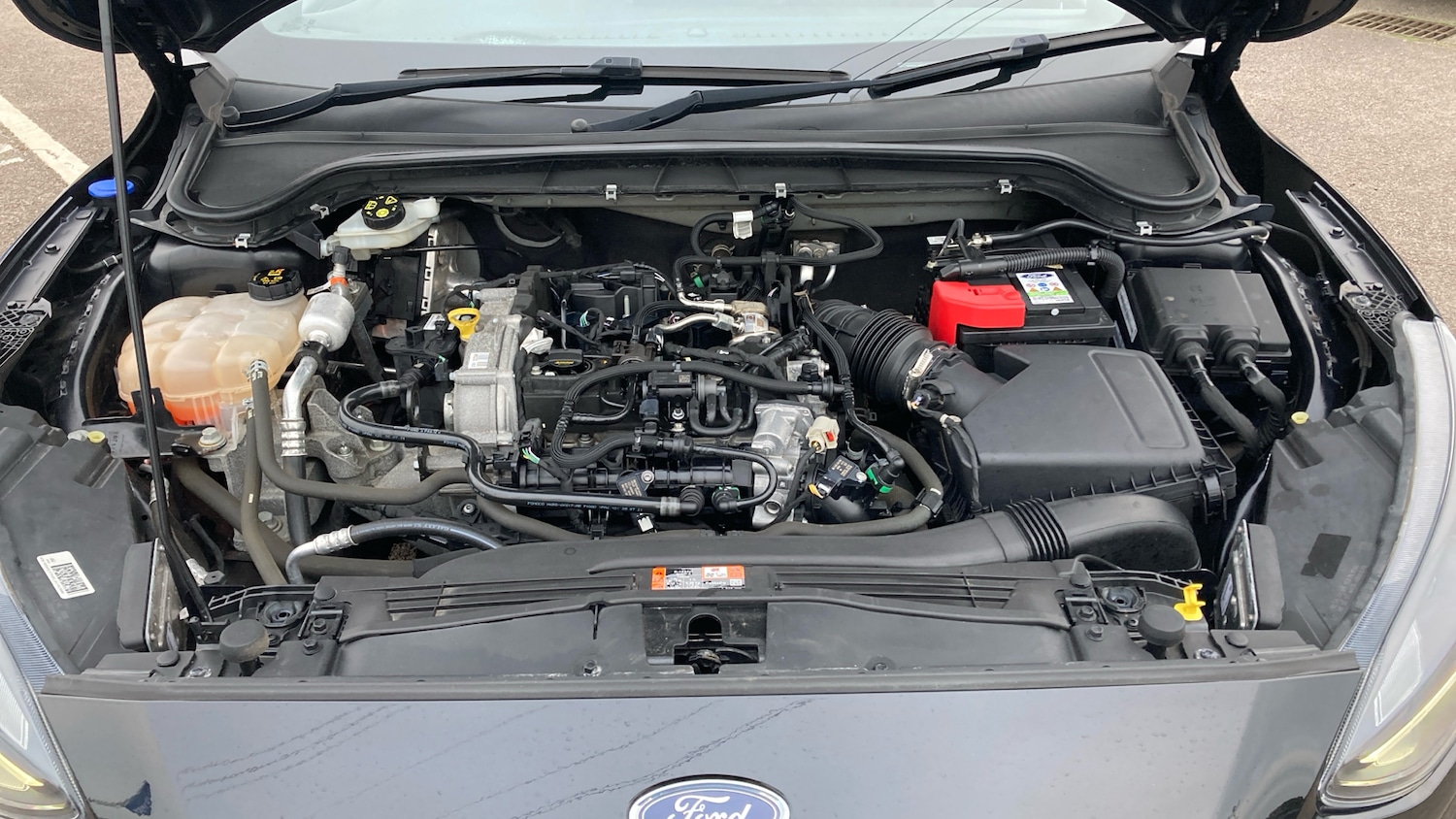 Used Ford Focus 2021 for sale - 77061503: Photo 8