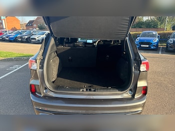 Used Ford Kuga 2024 for sale - 77760464: Photo