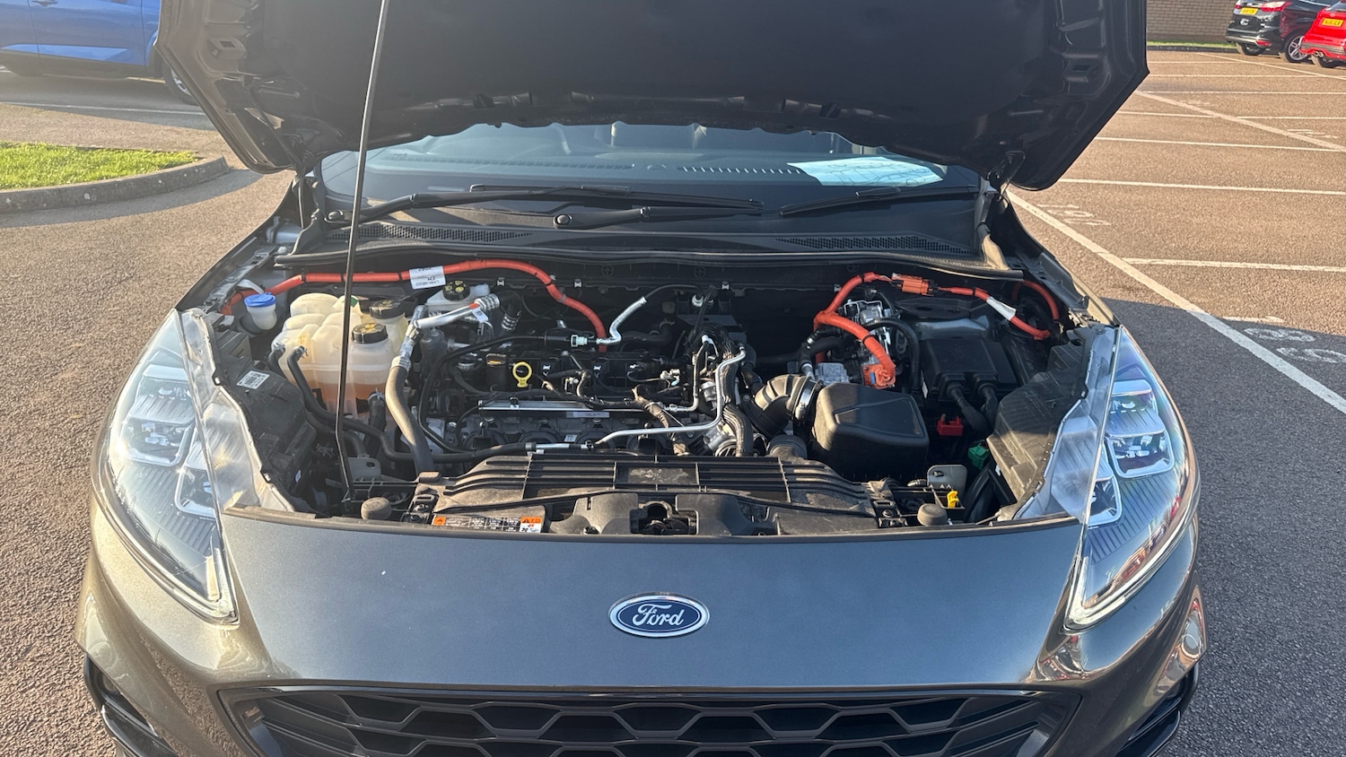 Used Ford Kuga 2024 for sale - 77760464: Photo 8