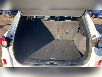 Used Ford Kuga 2023 for sale - 76808061: Photo