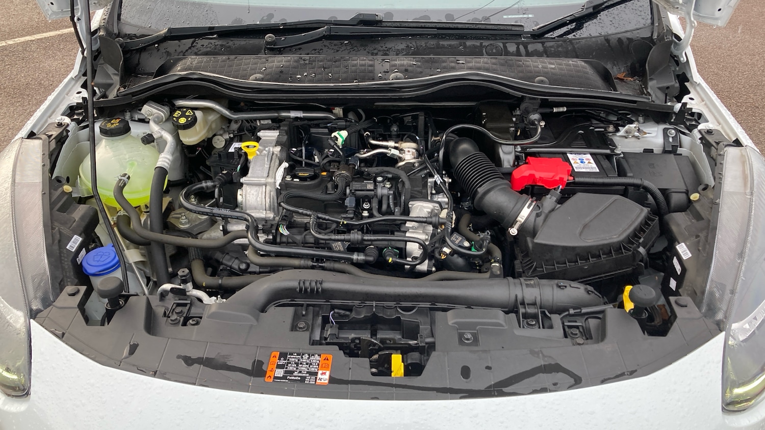 Used Ford Fiesta 2023 for sale - 77366085: Photo 10