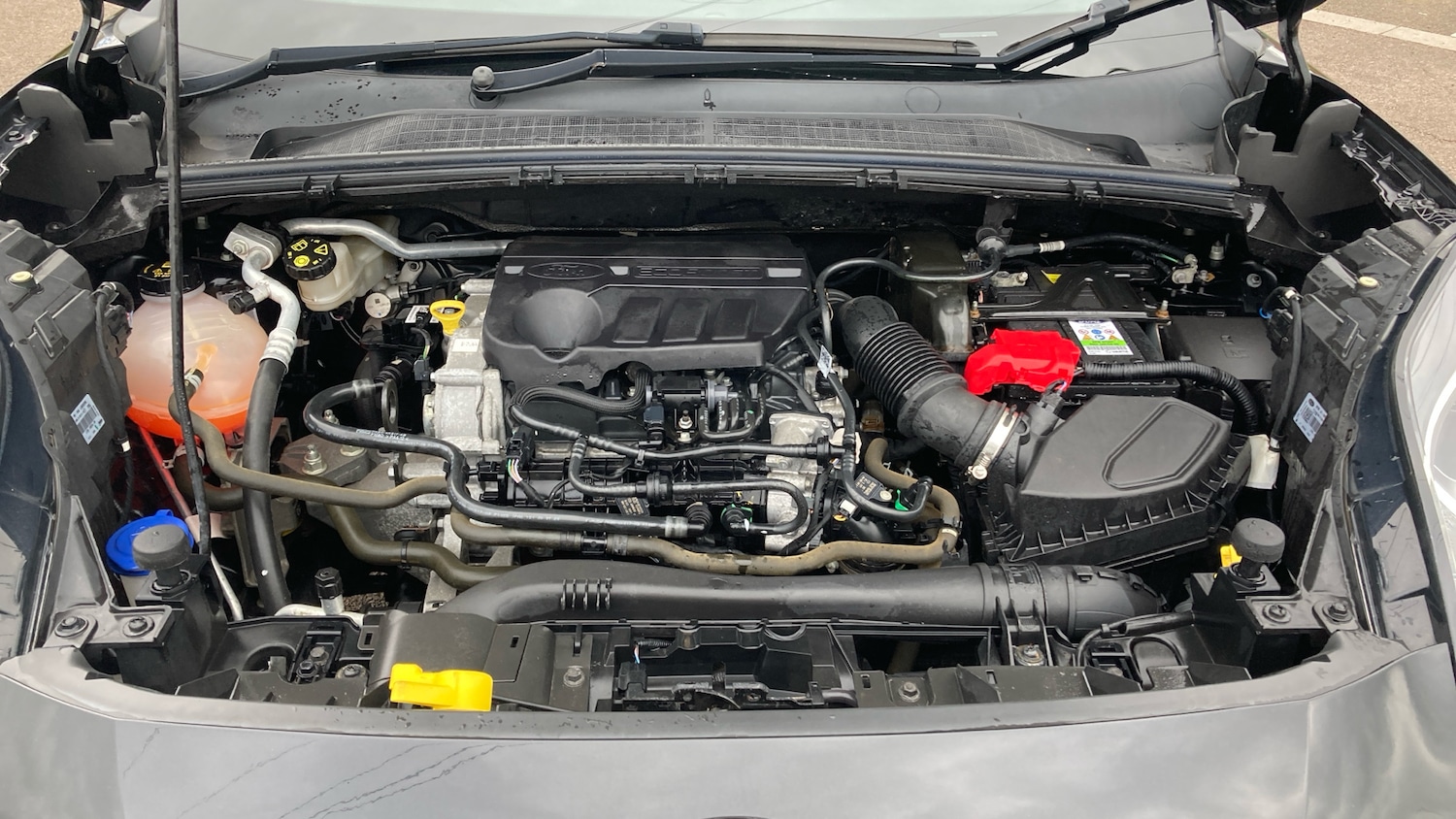 Used Ford Puma 2020 for sale - 76517900: Photo 8