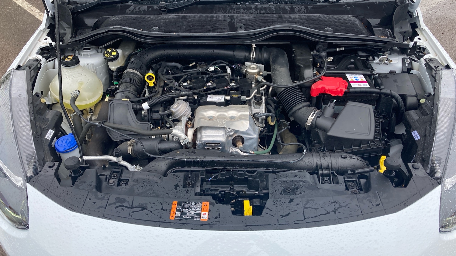 Used Ford Fiesta 2023 for sale - 76536515: Photo 8