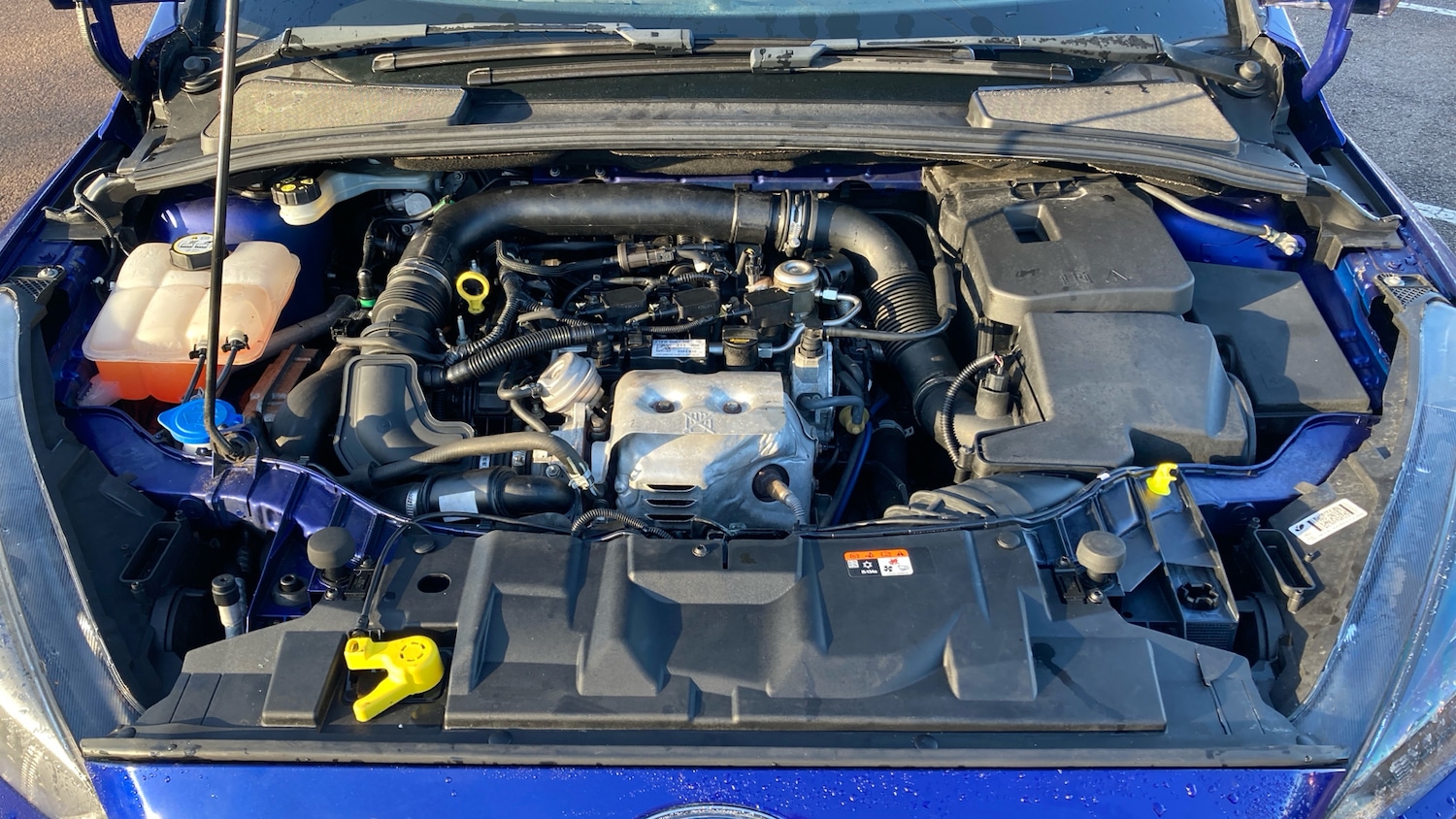 Used Ford Focus 2017 for sale - 76806984: Photo 8