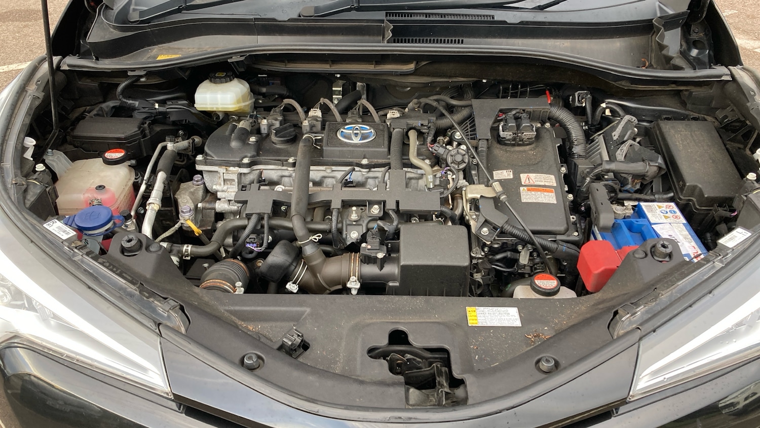 Used Toyota C-HR 2017 for sale - 77124008: Photo 8