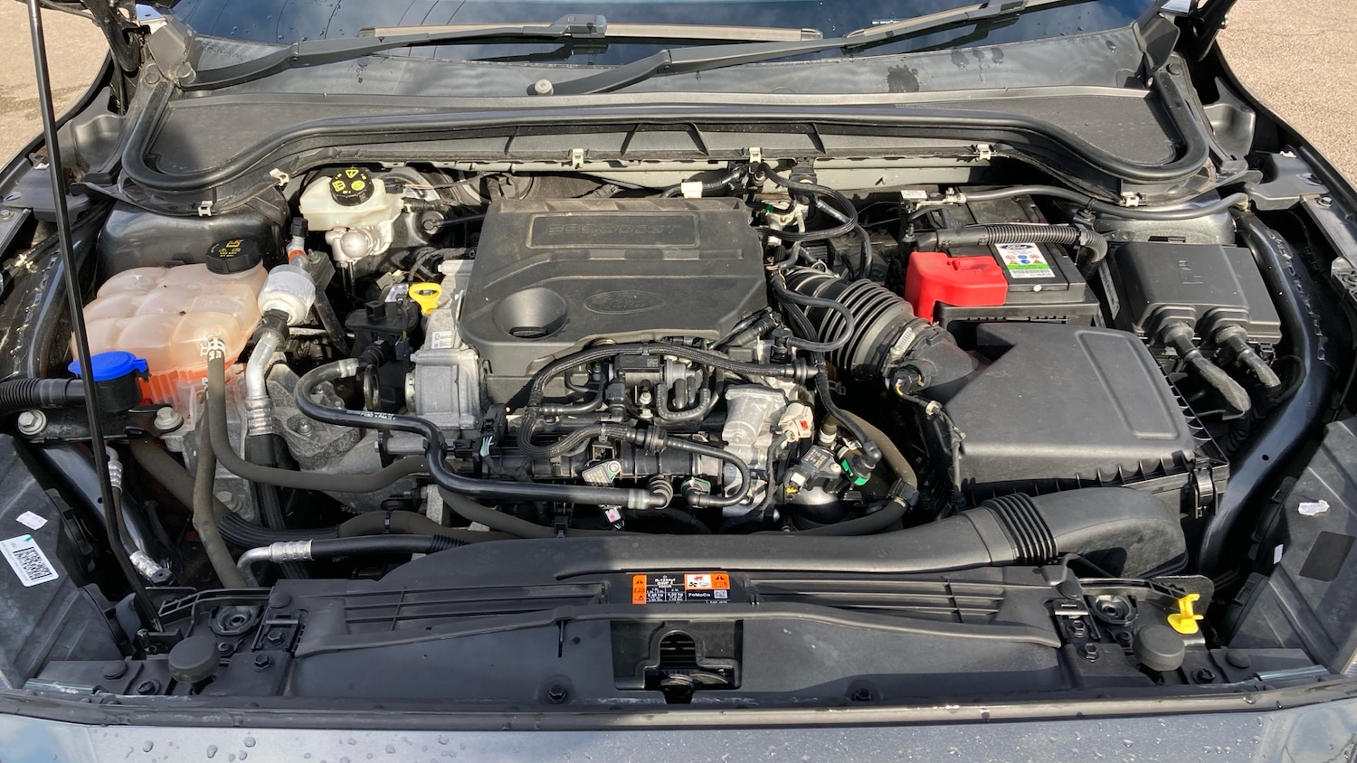 Used Ford Focus 2020 for sale - 76344594: Photo 8