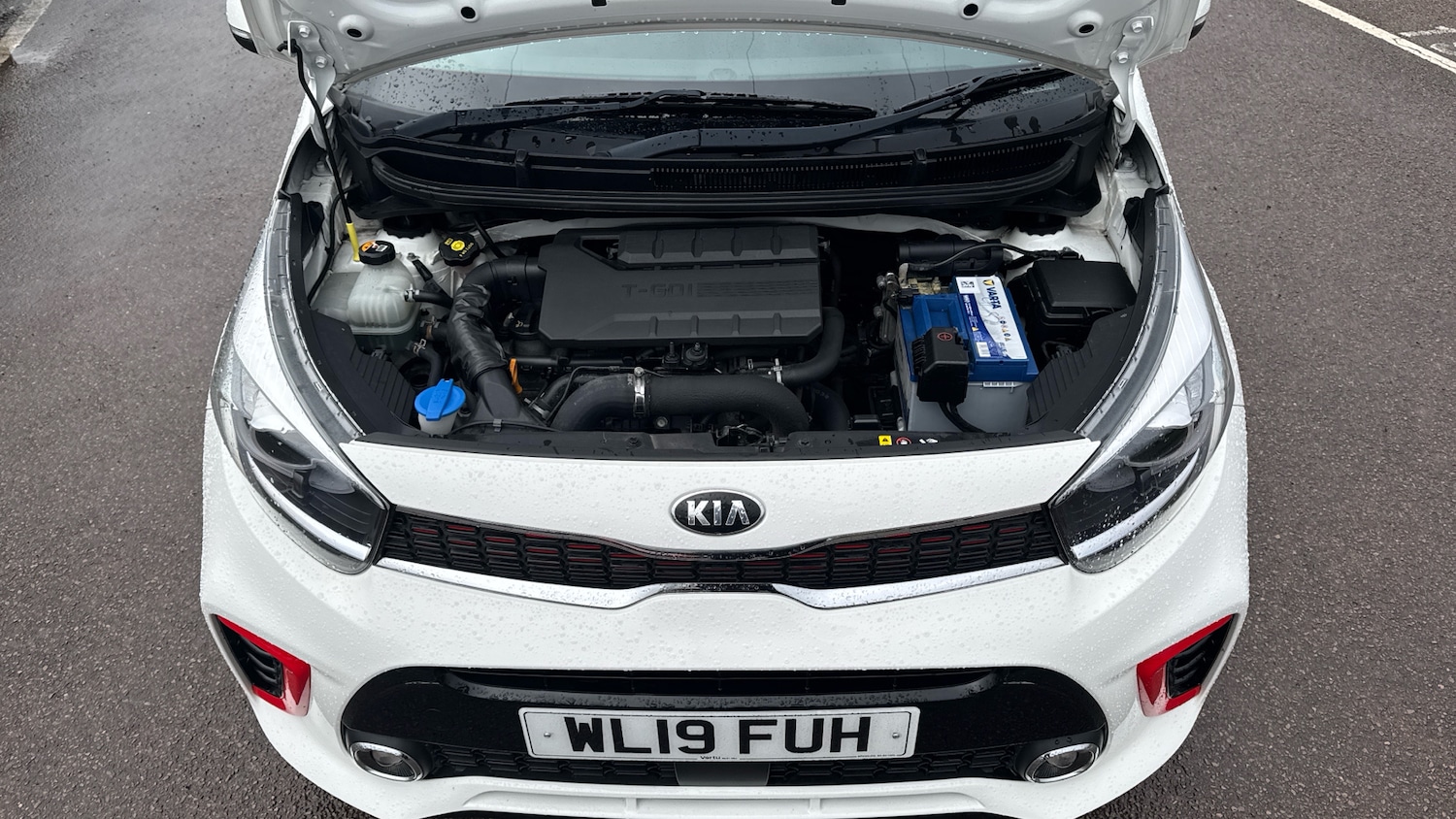 Used Kia Picanto 2019 for sale - 77541891: Photo 8