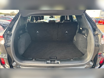 Used Ford Kuga 2024 for sale - 77774989: Photo