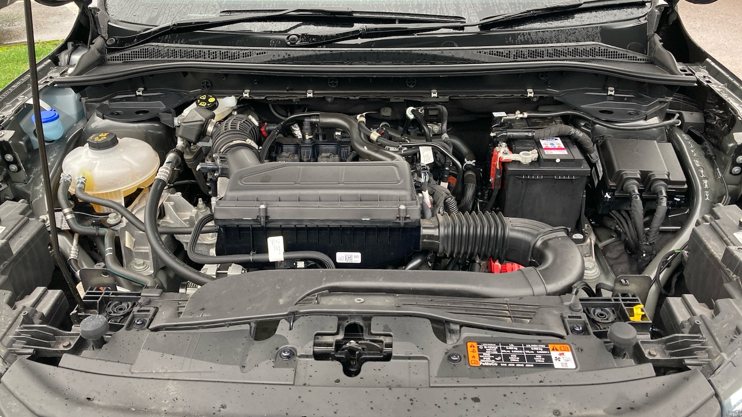 Used Ford Kuga 2025 for sale - 76951003: Photo 8