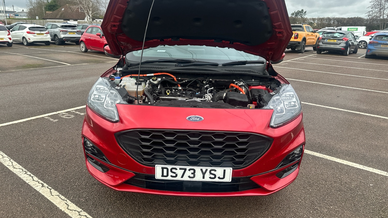 Used Ford Kuga 2023 for sale - 77518884: Photo 8