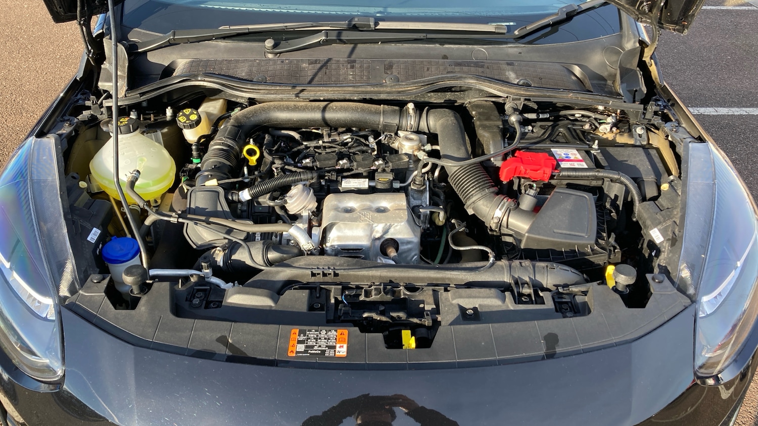 Used Ford Fiesta 2023 for sale - 77115834: Photo 8