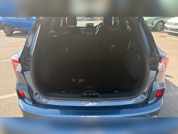 Used Ford Kuga 2024 for sale - 79111349: Photo