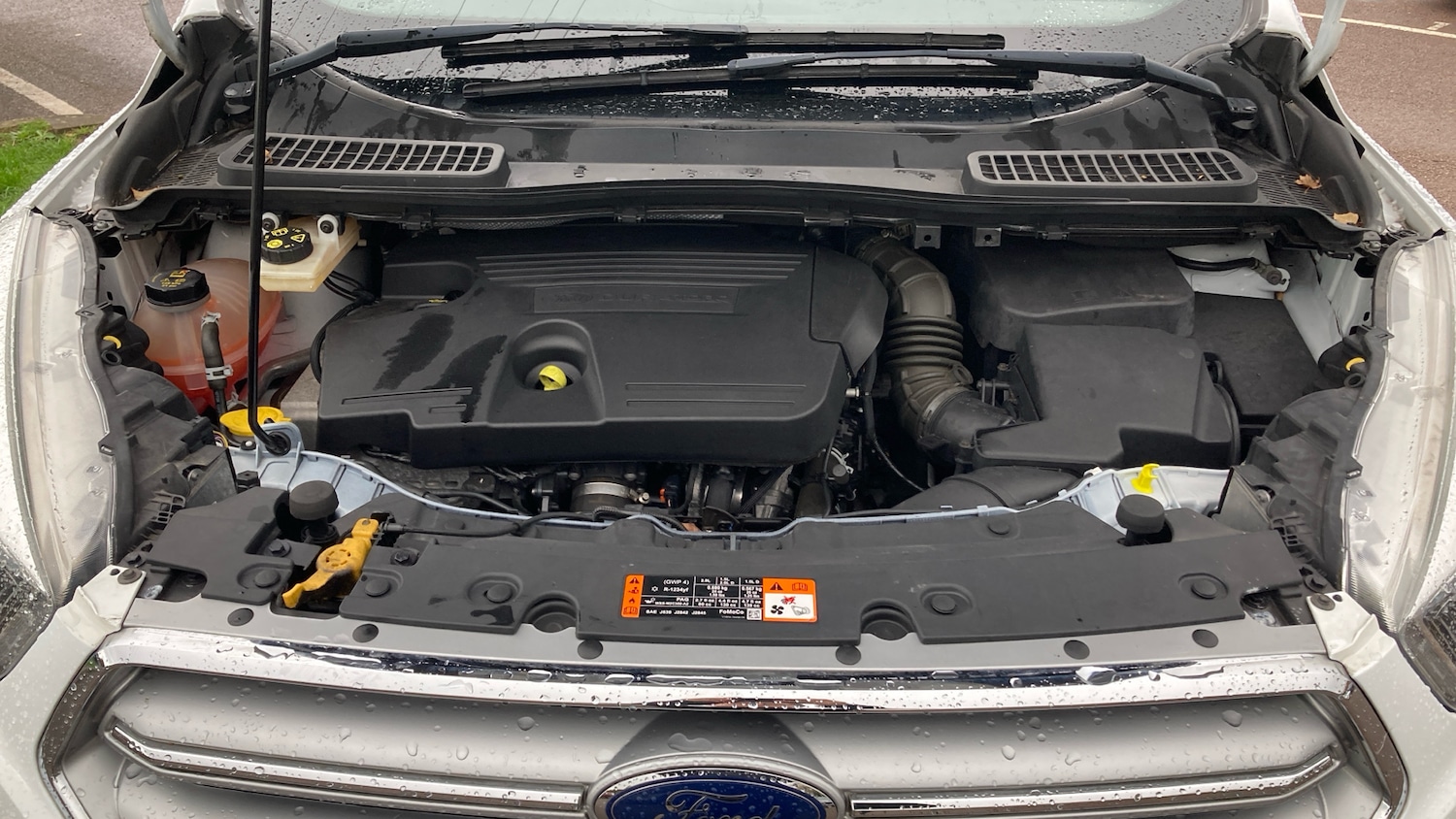 Used Ford Kuga 2019 for sale - 76352941: Photo 8