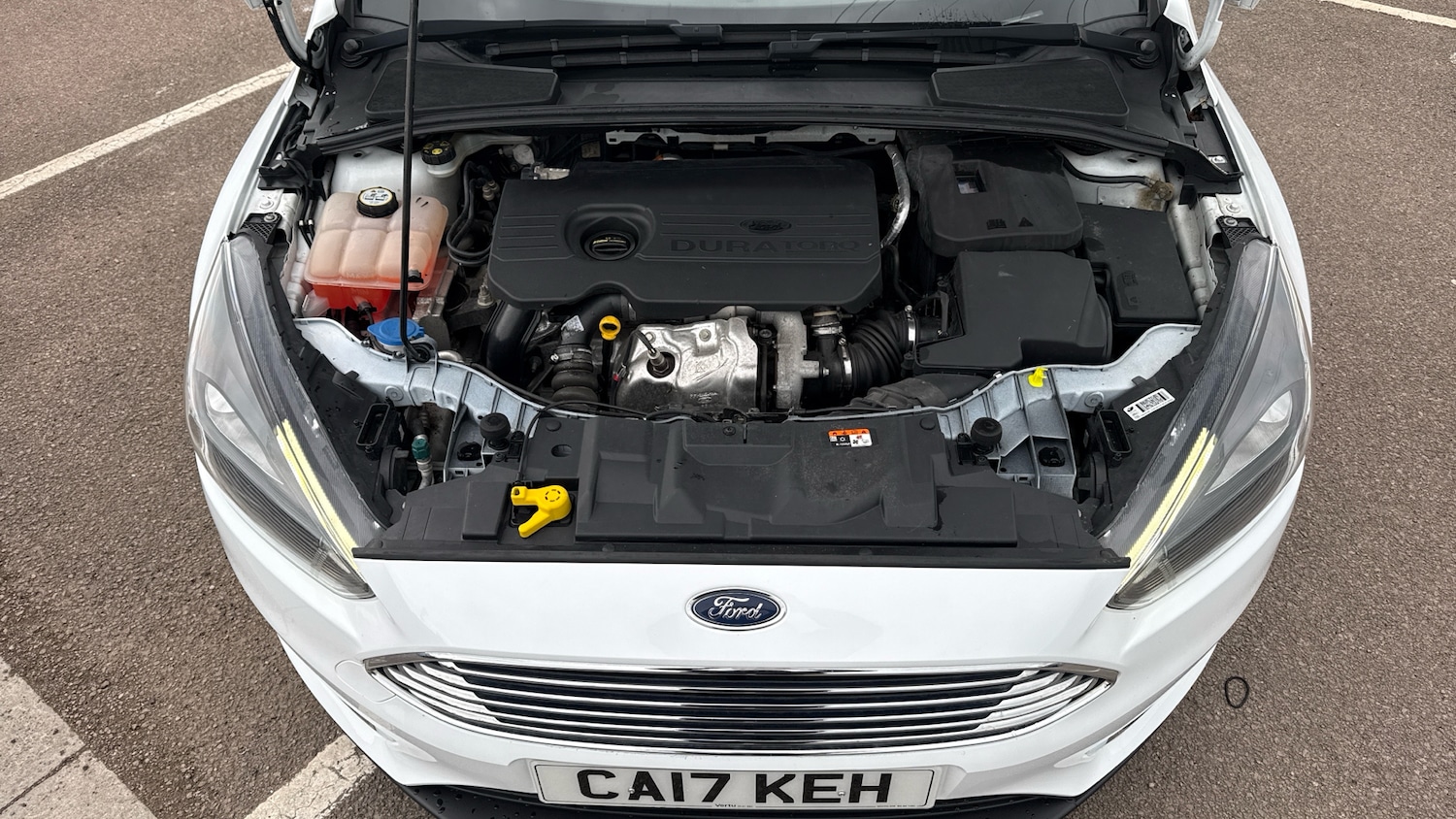 Used Ford Focus 2017 for sale - 77830469: Photo 8