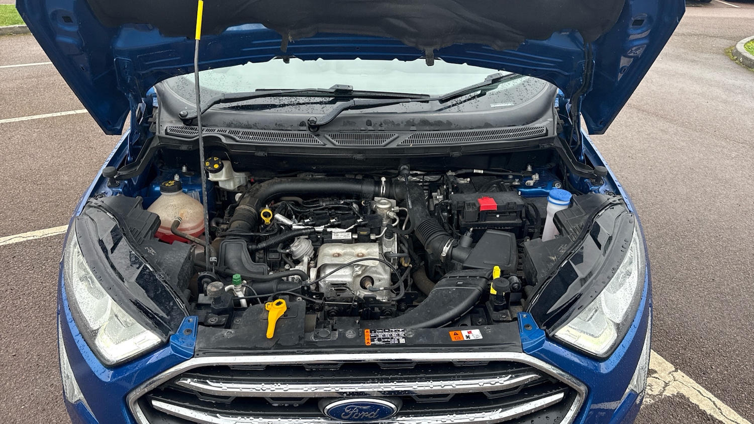 Used Ford Ecosport 2019 for sale - 77461149: Photo 8