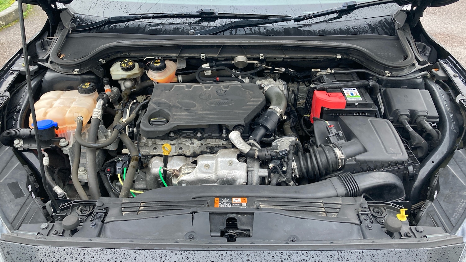 Used Ford Focus 2019 for sale - 77167692: Photo 8