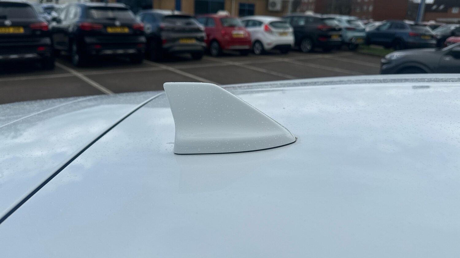 Used Ford Focus 2024 for sale - 77893255: Photo 24