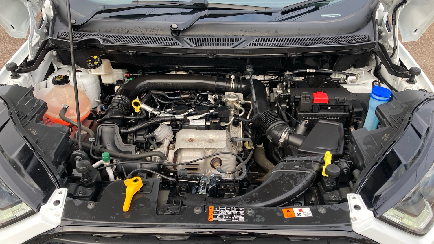 Used Ford Ecosport 2019 for sale - 77076987: Photo 8