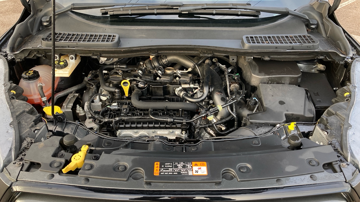 Used Ford Kuga 2019 for sale - 77127293: Photo 8