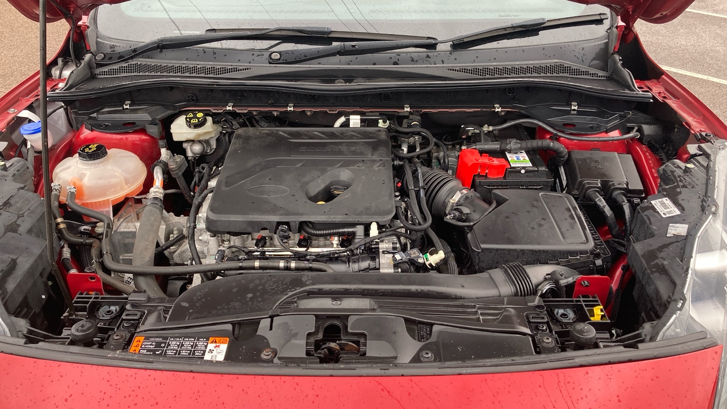 Used Ford Kuga 2020 for sale - 76763073: Photo 8