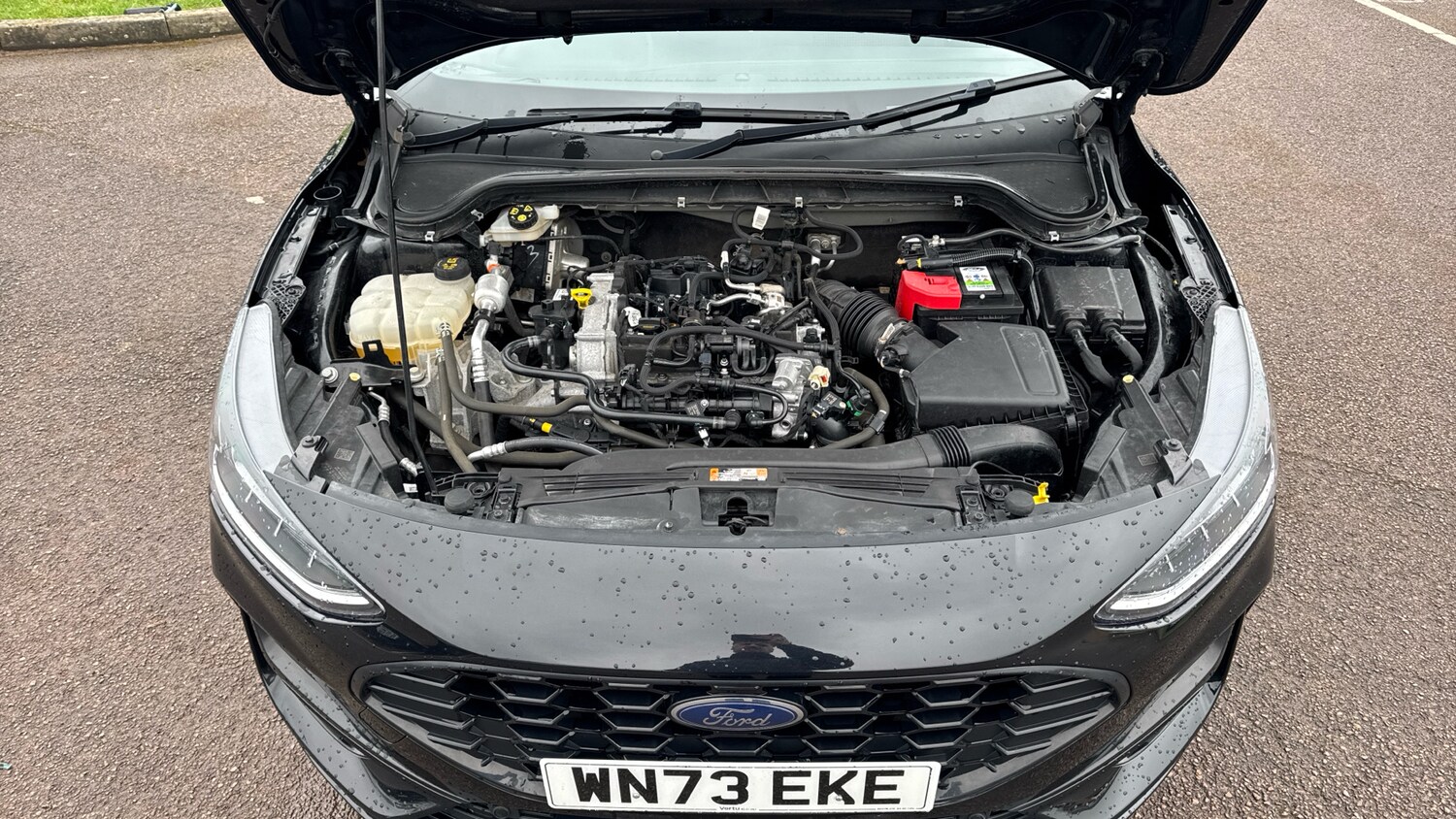 Used Ford Focus 2023 for sale - 77616640: Photo 8