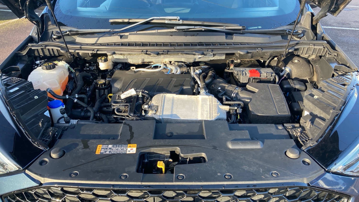 Used Ford Edge 2019 for sale - 77004252: Photo 8