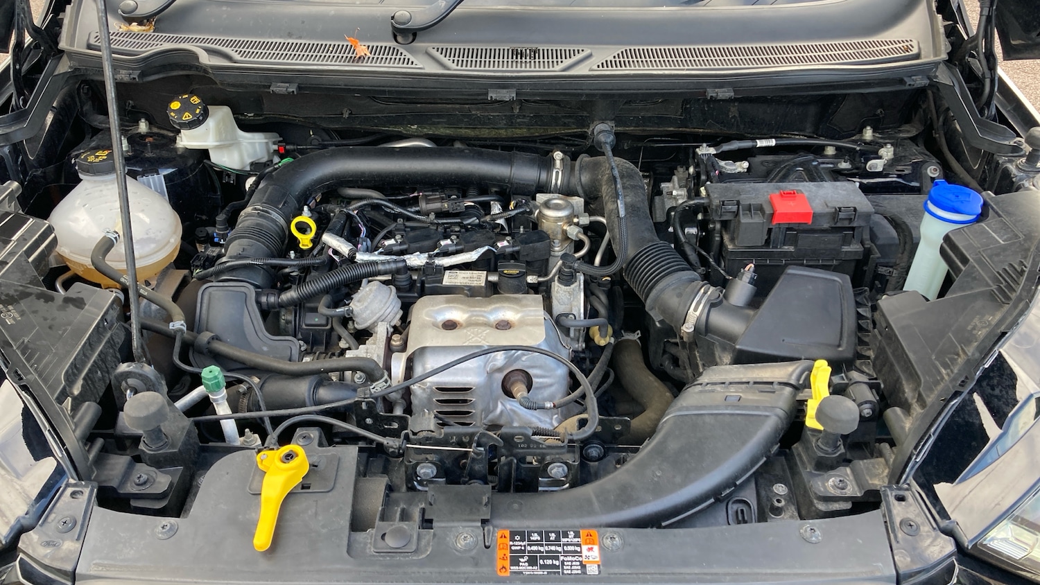 Used Ford Ecosport 2022 for sale - 76355455: Photo 8