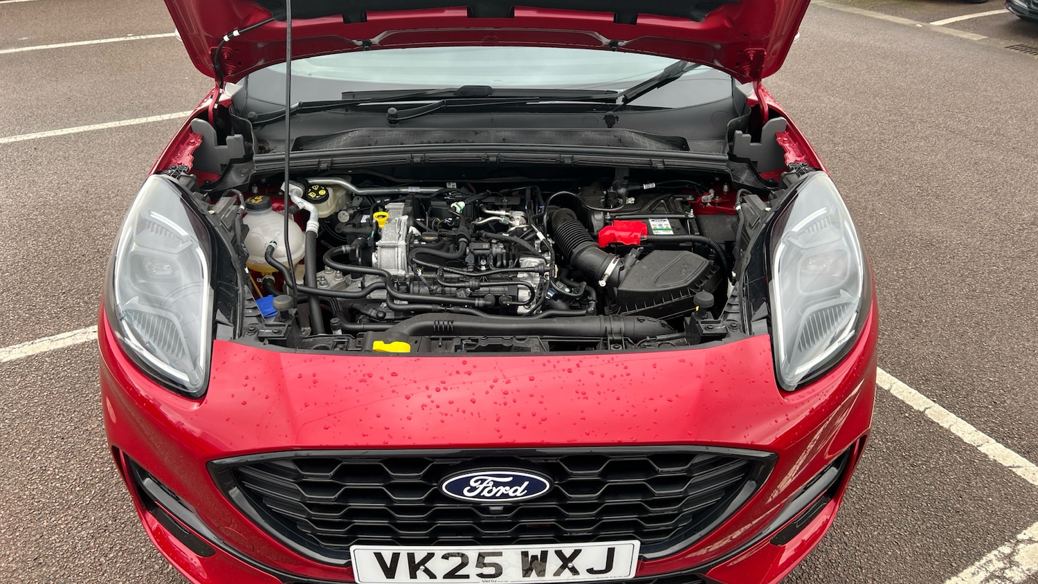 Used Ford Puma 2025 for sale - 77490589: Photo 8