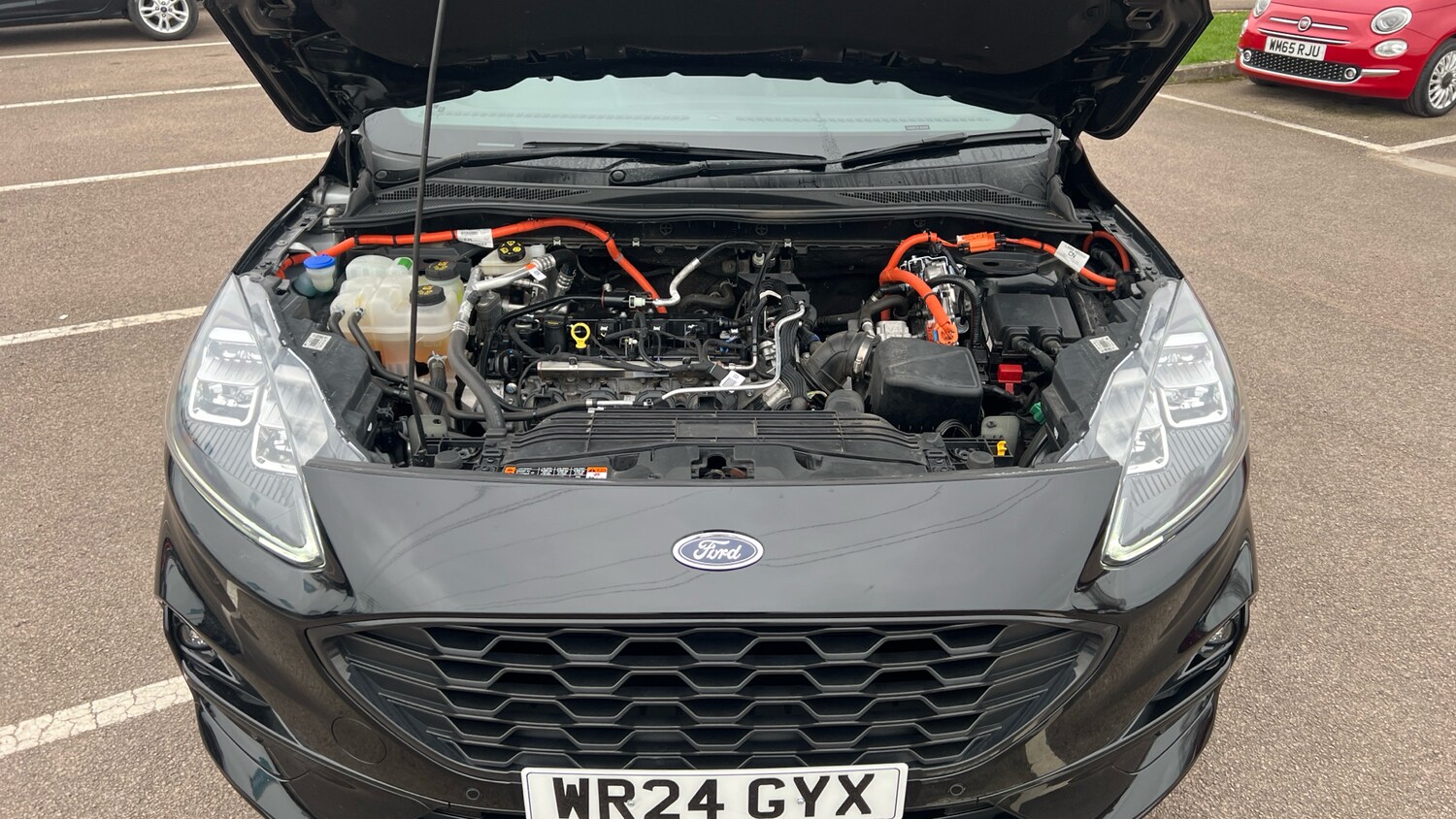 Used Ford Kuga 2024 for sale - 77789059: Photo 8