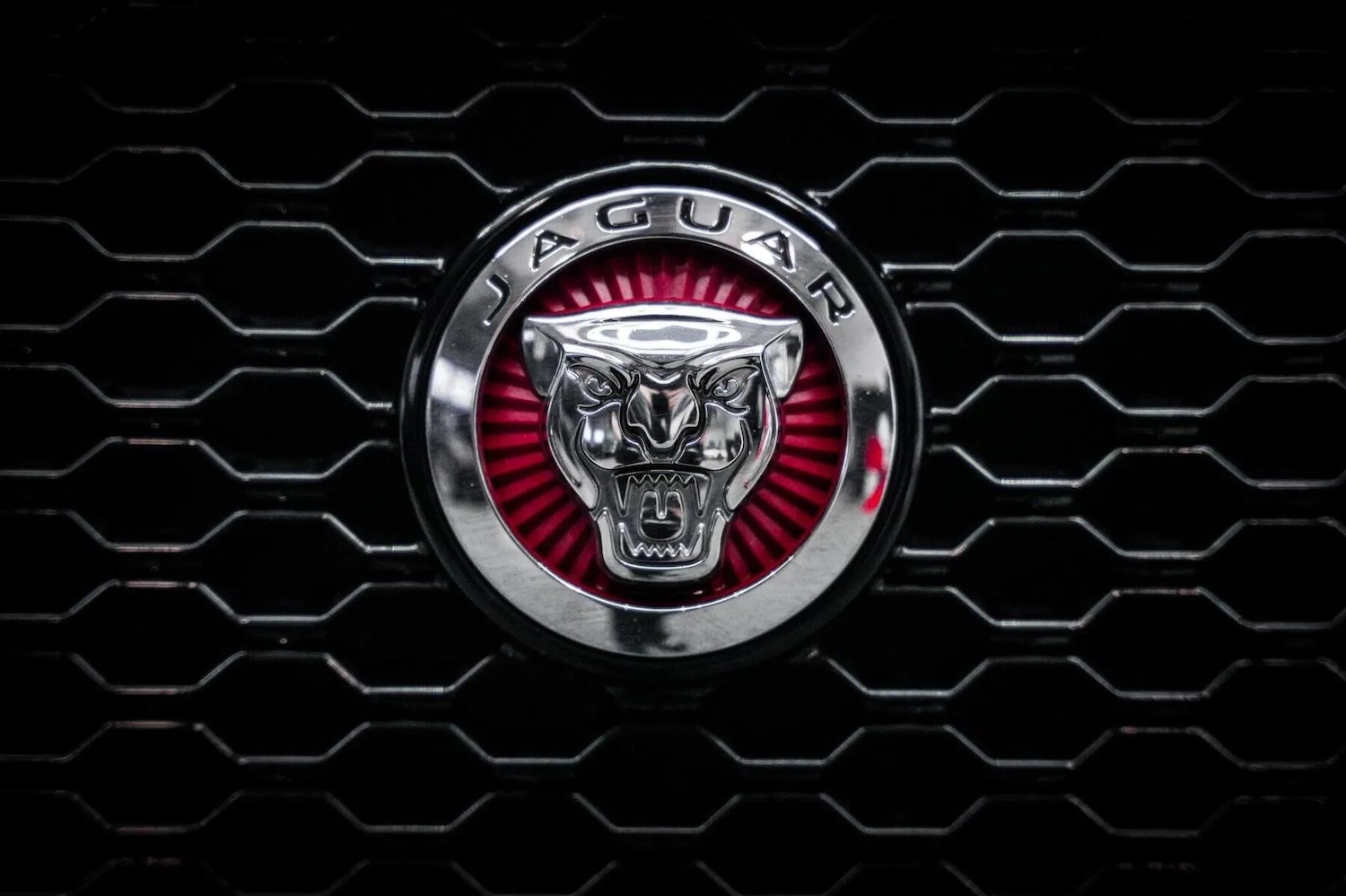 Used Jaguar F-Pace 2019 for sale - 77174665: Photo 27