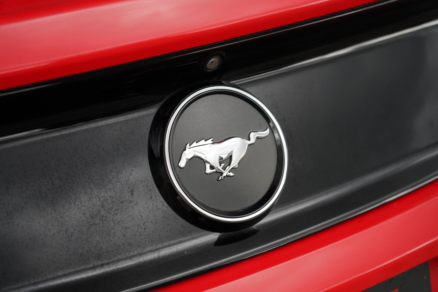 Used Ford Mustang 2016 for sale - 76658607: Photo 32