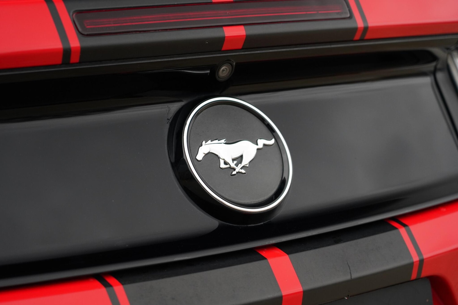 Used Ford Mustang 2016 for sale - 76657189: Photo 34